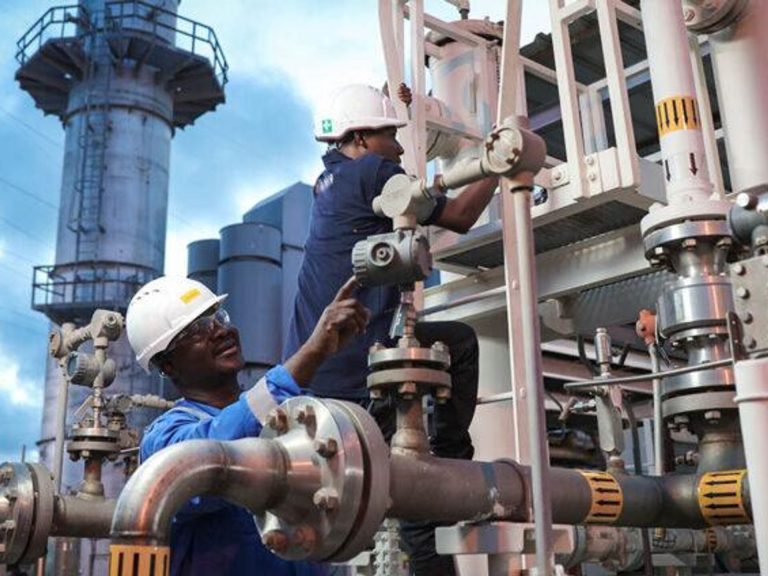 Tanzania doubles gas field stake in deal with Maurel & Prom