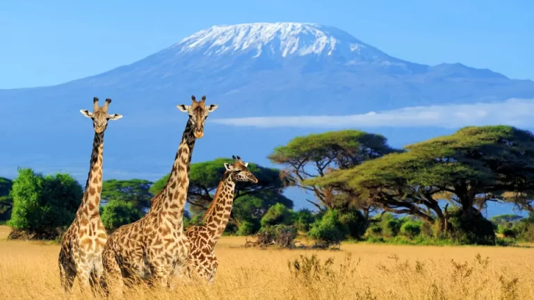 Top 10 destinations for business trips in Africa