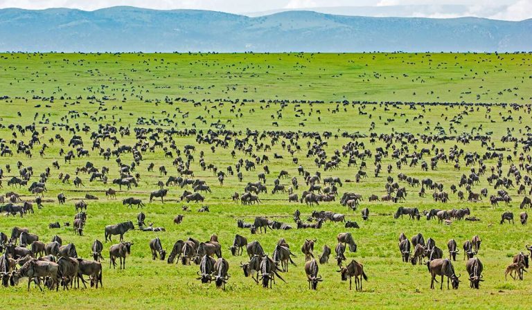 Tanzania among 10 of the safest places to visit in Africa in 2024