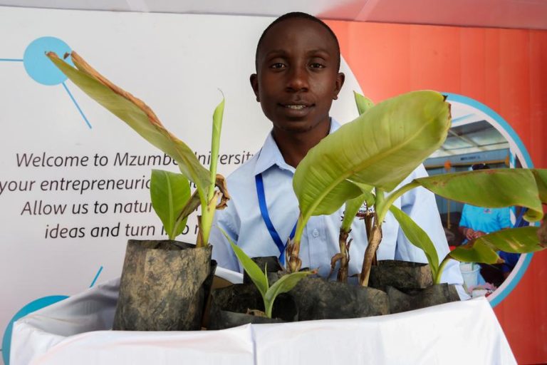 Student’s innovative banana seedling sparks hope for Tanzanian farmers at trade fair