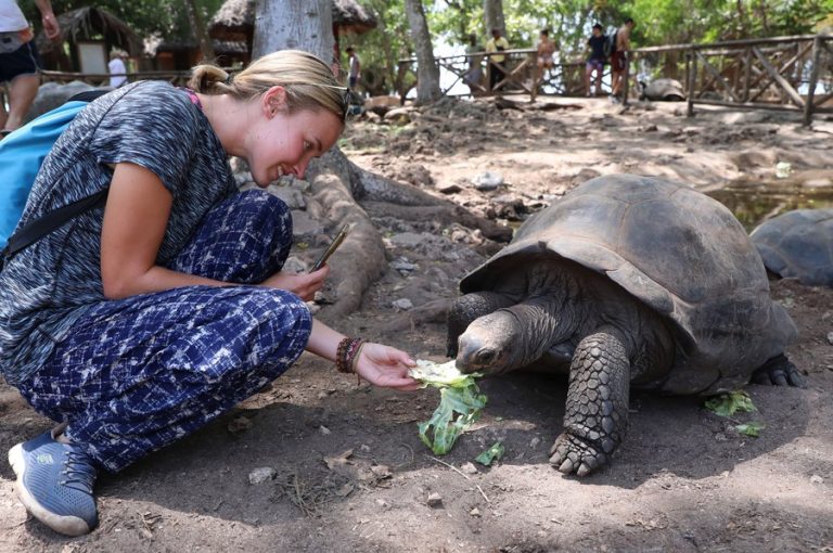 Tanzania records 24.3 pct rise in foreign tourist arrivals in 2023