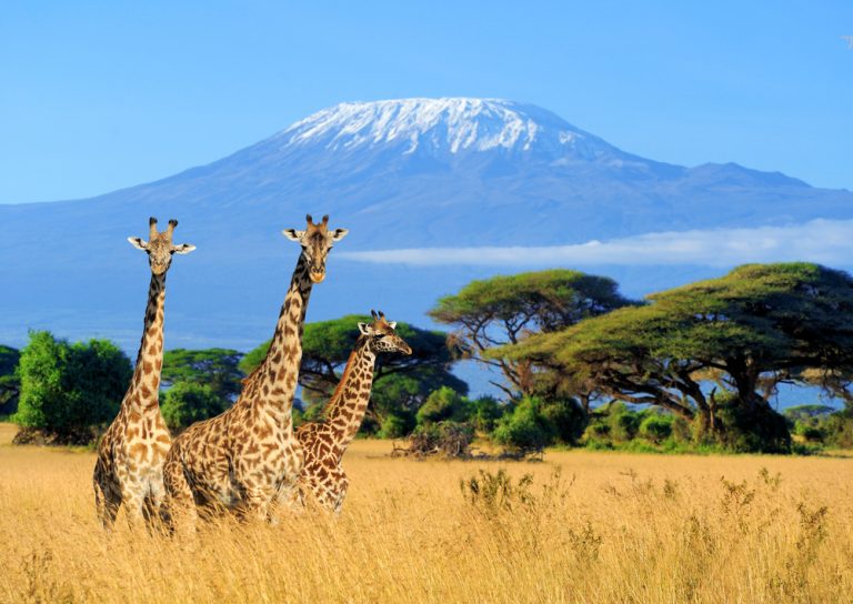 Tanzania’s Serengeti National Park, Mount Kilimanjaro scoop tourism awards