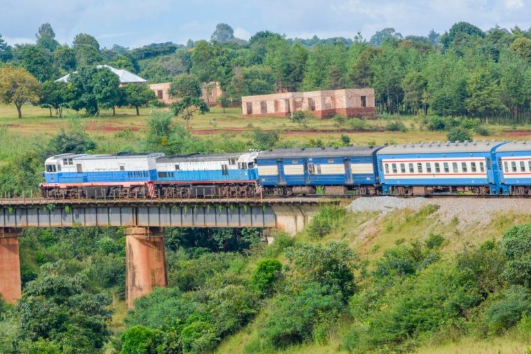 China to bring Tanzania-Zambia railway back to full speed with US$1 billion boost