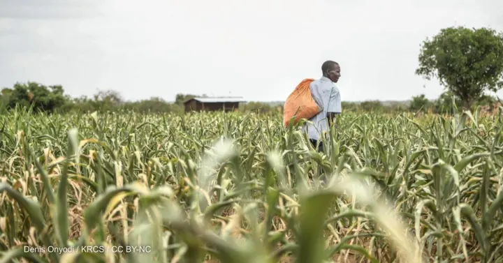 Opinion: Africa’s green revolution requires investment and collaboration