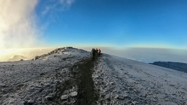 This 12-day expedition takes you from a national park to the top of Mount Kilimanjaro
