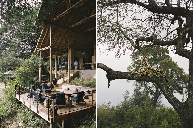 I visited South Africa 10+ times last year—Here are the best hotels, restaurants, and safari experiences I recommend to anyone