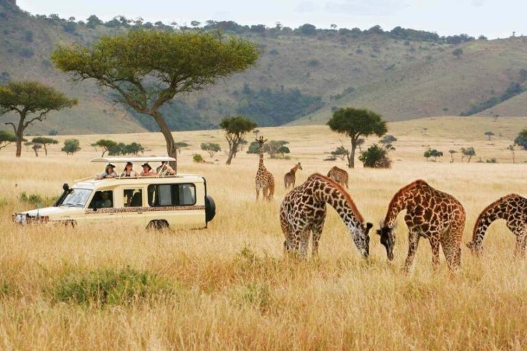 Serengeti, Maasai Mara, and Kruger National Park lead the way as Africa’s safari tourism surges amid luxury and adventure travel demand