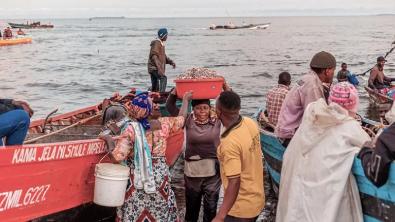 In Tanzania, energy and one woman’s vision is revolutionizing Lake Victoria’s sardine trade