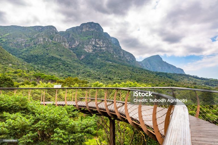 South African Tourism ramps up tourism recovery efforts in India and China