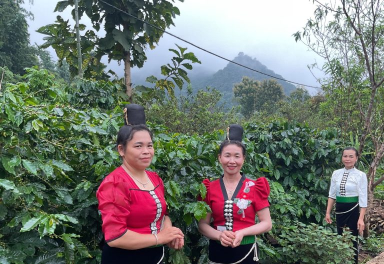 Vietnam’s coffee harvest headache