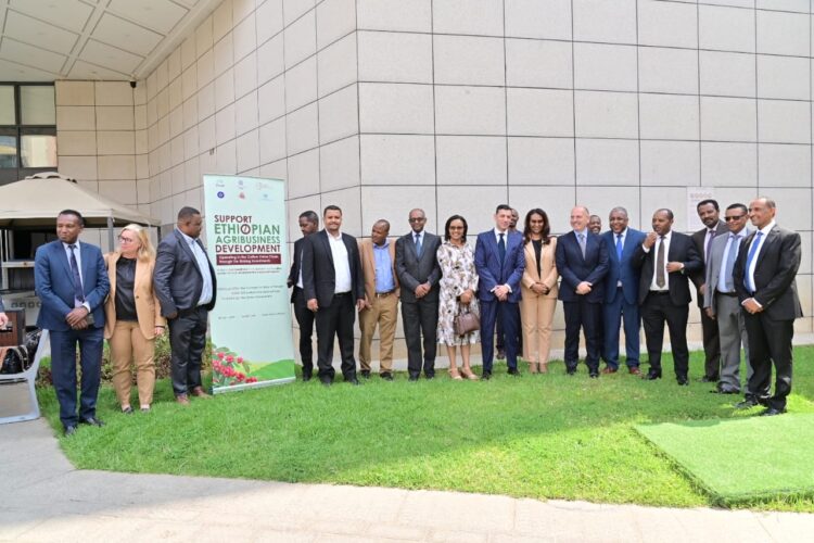 Italian government invests €10 million in Ethiopia’s coffee sector